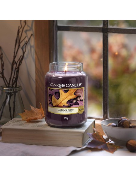 5038581016672 - Yankee Candle bougie jarre parfumée | petite taille | Reflets d'automne | jusqu’à 30 heures de combustio