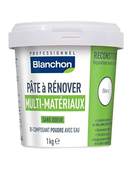 3239911300009 - Pâte à rénover 1kg - Blanchon - 