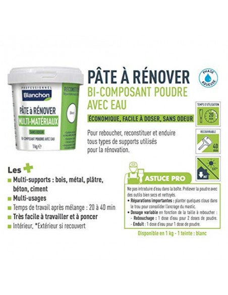 3239911300009 - Pâte à rénover 1kg - Blanchon - 