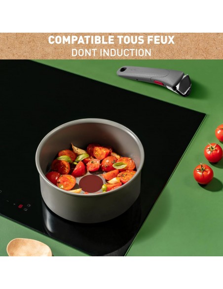 3168430349247 - TEFAL - Set 4 pièces : Casseroles 16/18/20cm + 1 poignée - Induction - 