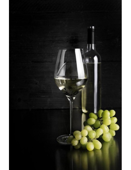 8717823781901 - Verres à vin blanc Royal Boch 48cl - Lot de 2 - 