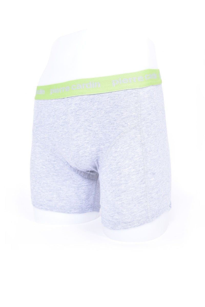 Boxer Pierre Cardin - Gris et vert